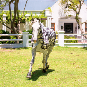 Equilibrium Field Relief Fly Rug