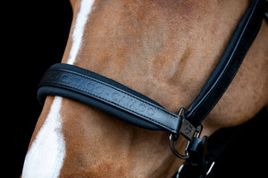 Catago Brielle Headcollar