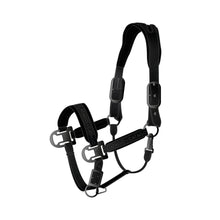 Load image into Gallery viewer, Catago Brielle Headcollar
