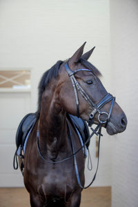 Catago Browband SS25