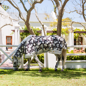 Equilibrium Field Relief Fly Rug