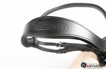 Load image into Gallery viewer, Antares Signature Dressage Bridle
