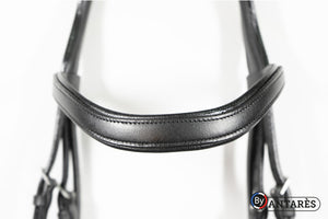 Antares Signature Dressage Bridle