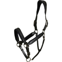 Load image into Gallery viewer, Catago Brielle Headcollar
